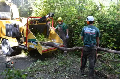 tree services Brewton